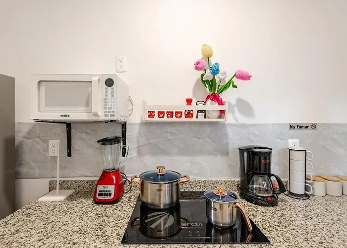 Ideal Para Quienes Rentan Auto Y Buscan Tranquilidad Con Seguridad Mas Amenidades, Cajon Para Auto, Planta Baja Apartamento *
